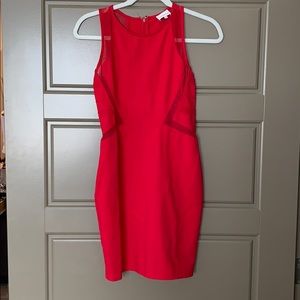 Parker bodycon dress